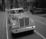 White Western Star 4800 1973 года